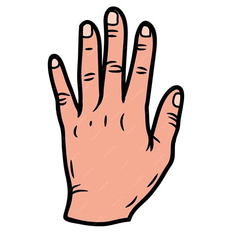 Imagen ecográfica de la mano y dedos de un feto.