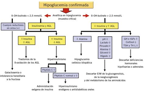 Esquema de las causas de hipoglucemia neonatal