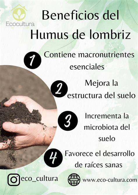 Tabla de beneficios del humus de lombriz