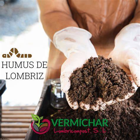 Infografía sobre las dosis recomendadas de humus de lombriz sólido y líquido