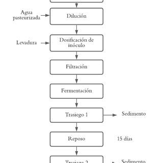 Diagrama de los componentes básicos del hidromiel: miel, agua y levadura.