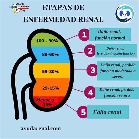 Diagrama ilustrando los riesgos materno-fetales asociados a la enfermedad renal crónica durante el embarazo.