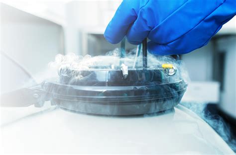 Tabla resumen de los costes asociados a la vitrificación, mantenimiento y transferencia de embriones.