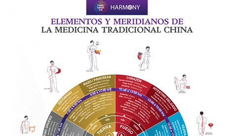 Esquema de los meridianos principales de la Medicina Tradicional China (MTC) utilizados en tratamientos reproductivos.