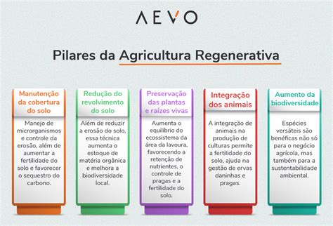 Esquema de los pilares de la agricultura regenerativa promovida por Yara
