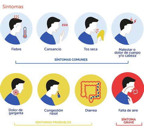 Infografía sobre los síntomas y recomendaciones ante un pinchazo