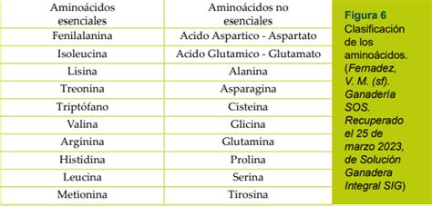 Infografía detallando la composición de vitaminas y aminoácidos esenciales para la fertilidad aviar.