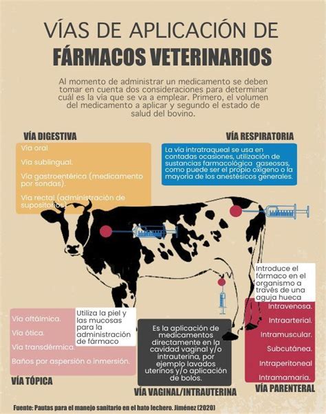 Diagrama mostrando diferentes métodos de administración de suplementos para aves: agua de bebida, pasta de cría, semillas.