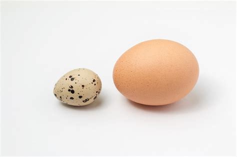 Comparación del tamaño de un huevo de codorniz y un huevo de gallina