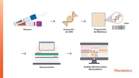 Diagrama de flujo de la secuenciación masiva (NGS) aplicada al screening embrionario