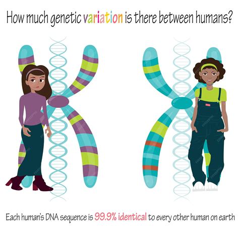 Diagrama que ilustra la paradoja de la variación genética mantenida en poblaciones sexualmente reproductoras.