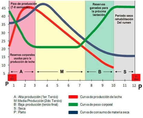 Gráfico de relación entre producción de leche, consumo de alimento y balance energético en vacas lecheras