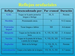 Diagrama de los reflejos orofaciales del neonato y sus desencadenantes