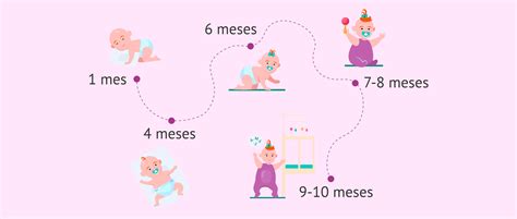 Ilustración de las etapas de desarrollo de la masticación en el bebé
