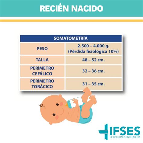 Ilustración que muestra la proporción de la cabeza en un recién nacido y la pérdida de calor.