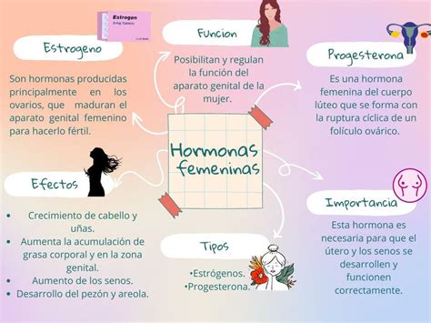 Esquema de las hormonas femeninas y cómo el alcohol puede afectar su equilibrio