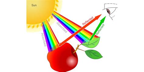 Infografía sobre la percepción del color en bebés, mostrando cómo evoluciona desde el alto contraste hasta la discriminación de matices.
