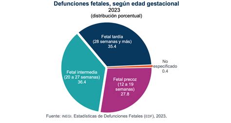 infografía con estadísticas globales y nacionales sobre muertes fetales y perinatales