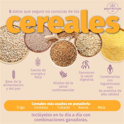 Infografía comparativa de cereales integrales y refinados, destacando sus perfiles nutricionales.