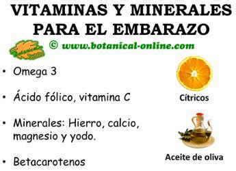 Gráfico de las necesidades de vitaminas y minerales en el embarazo y lactancia