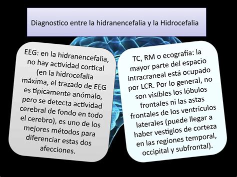 Comparativa entre ecografía y TC cerebral para identificar hidrocefalia