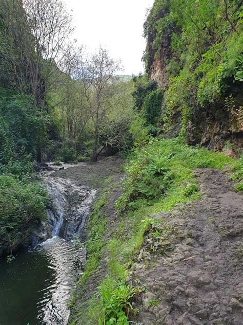 Foto panorámica del Barranco de Azuaje con vegetación