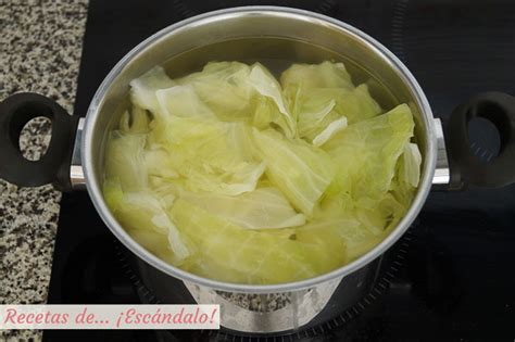 repollo cocido y escurrido