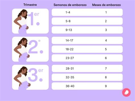 Ilustración de un calendario marcando la semana 37 como el límite para un parto a término, con un signo de exclamación en las semanas previas.