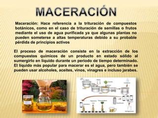 Infografía sobre las rampas de temperatura durante la maceración