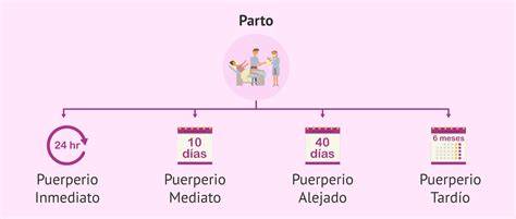Esquema cronológico de las etapas del puerperio: inmediato (0-24h), mediato (2-10 días) y alejado (11-45 días).