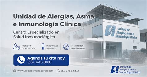 Infografía explicativa sobre los servicios de la Unidad de Alergia e Inmunología