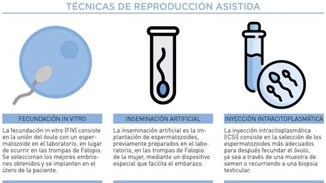 Esquema de las principales técnicas de reproducción asistida