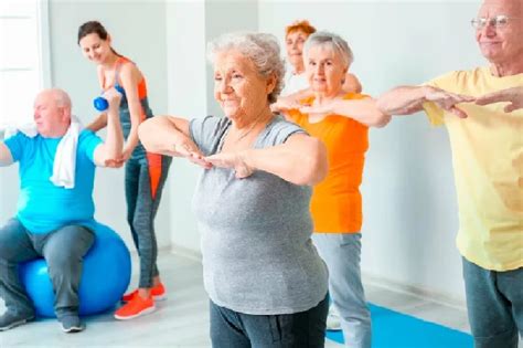 Infografía sobre ejercicios de fisioterapia adaptados para mejorar la movilidad en adultos mayores