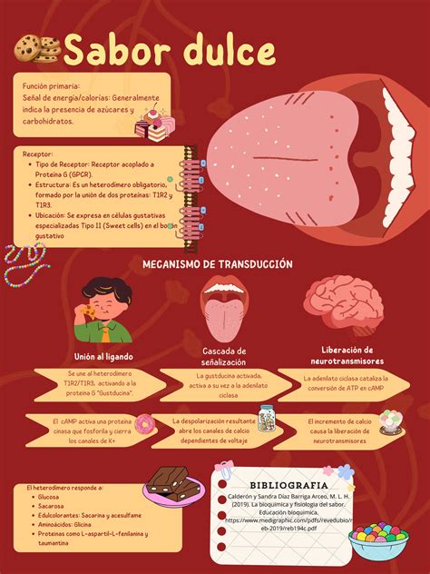 Infografía del proceso de transducción de los sabores dulce, amargo, umami (proteína G) y salado, agrio (canales iónicos)