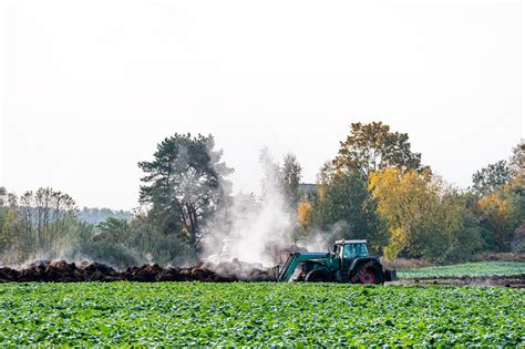 Campo de cultivo siendo fertilizado con nitrato de amonio en gránulos