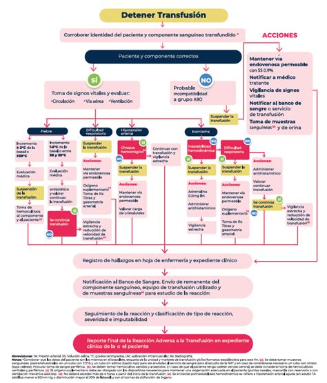 Diagrama de flujo clínico para el manejo del MDT, diferenciando entre testículos palpables y no palpables.