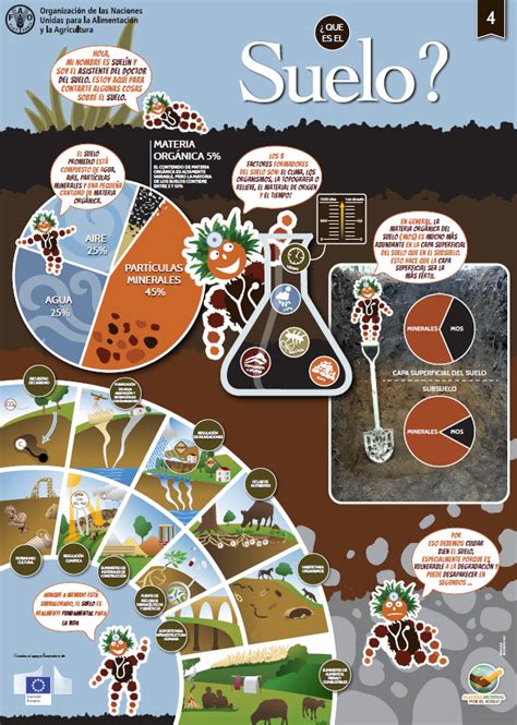 infografía sobre el análisis de suelo y la interacción de nutrientes para fresas