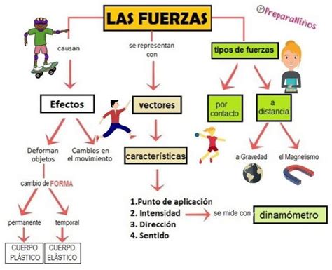 Esquema comparativo que muestra la diferencia de fuerzas sobre el cuello de un niño en una colisión a favor frente a contramarcha