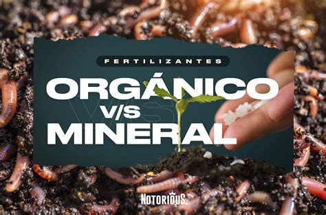 Infografía comparativa de fertilizantes minerales y orgánicos, destacando sus pros y contras.
