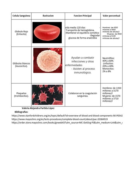 Infografía comparando las diferentes líneas celulares fetales utilizadas en vacunas y sus orígenes.