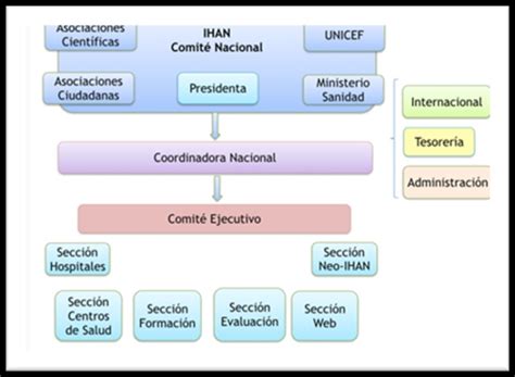 Esquema de las fases de acreditación IHAN en centros hospitalarios y sus objetivos de humanización.