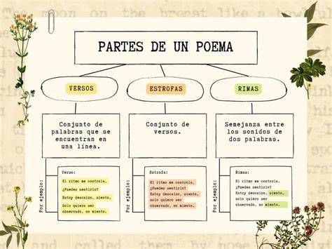 Esquema de las partes de un broche para chupetes, mostrando el clip, la cinta y el anillo flexible.
