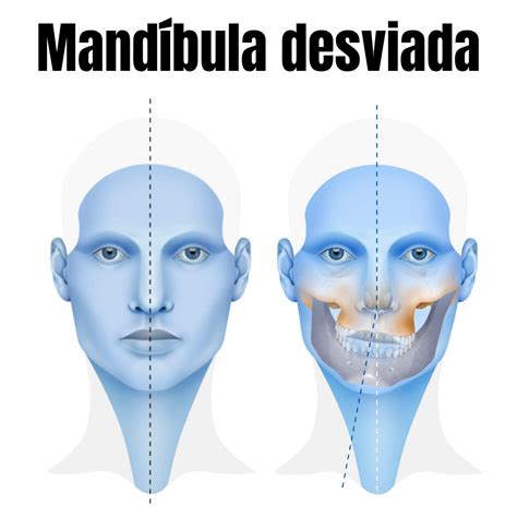 Foto ilustrativa de una persona aplicando distintas rayas de base en la mandíbula para comparar tonos.