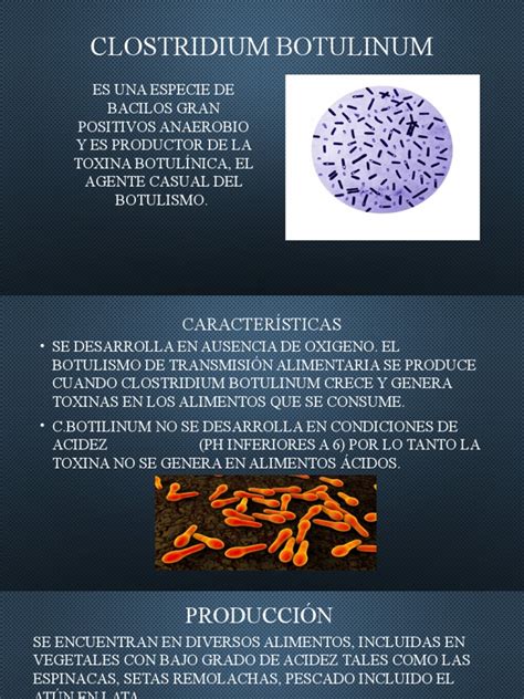 Infografía sobre las condiciones óptimas de crecimiento de Clostridium botulinum (temperatura, pH, anaerobiosis)