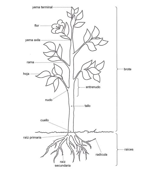 Esquema de una planta de producción de fertilizantes líquidos