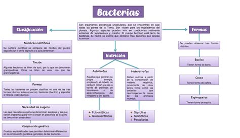 Esquema de las bacterias en un biberón y cómo se eliminan