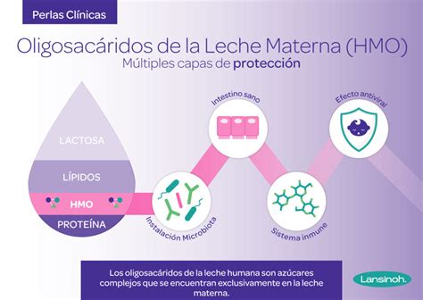 Diagrama que ilustra la estructura de los HMOs y su presencia en la leche materna y en Blemil 3 Forte.