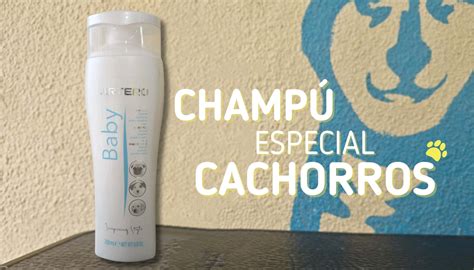 variedad de champús específicos para cachorros