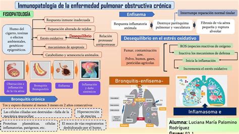 Esquema de la fisiopatología de la aloinmunización Rh, mostrando la sensibilización materna y el ataque de anticuerpos a los glóbulos rojos fetales.