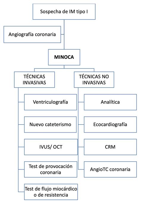Esquema de las pruebas diagnósticas no invasivas para la enfermedad cardiovascular (ecografía, TAC)
